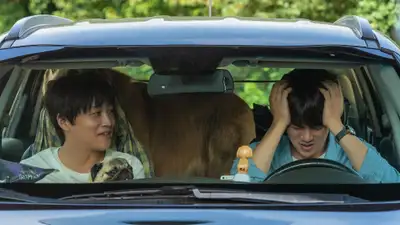 Tìm Nhà Cho Boss